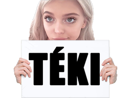 :LG-TEKI: