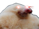 :Bestiol: