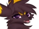 :JoeUmbreHappy: