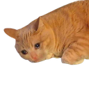 :Sad_cat: