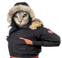 :Canada_cat: