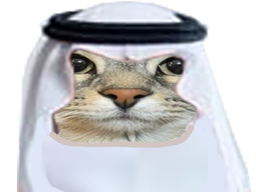 :CS_islam:
