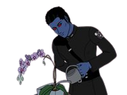 :Chiss_watering_flowers: