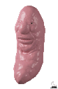 :____: