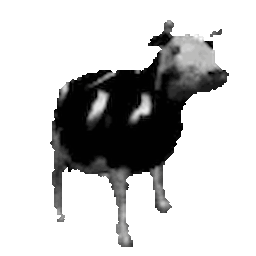 :polishcow: