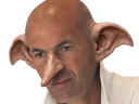 :Zidane_gobelin2: