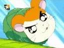:Hamtaro_ATTAQUE: