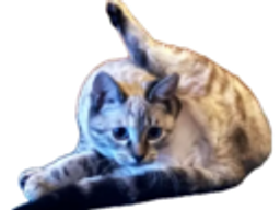 :bagubiz_indecente: