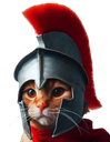 :Spartcat6: