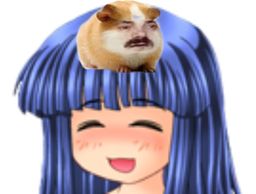 :rikahamster: