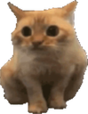 :chatlimite2inverse: