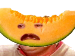 :melon_risitas: