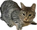 :cs_peur: