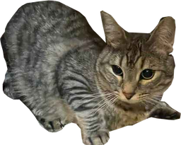 :cs_peur:
