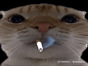 :ChakFume: