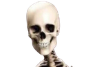 :Squelette_content: