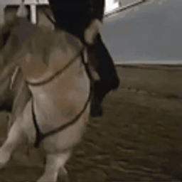 :ZidaneRoulade:
