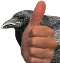 :Corbeauok: