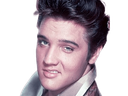 :elvis: