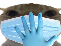 :chakmedecin2: