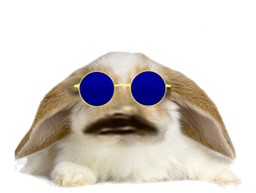:Lapin_Belier_Kali_Yuga: