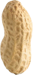 :Cacahuete: