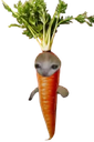 :Charotte:
