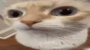 :uuh: