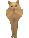 :Chat_bouge_ton_corps: