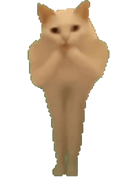 :Chat_bouge_ton_corps: