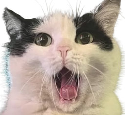 :AAAAAAAAAHHHHHH: