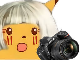 :foto:
