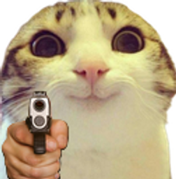 :chat_sourire_flingue: