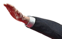 :ElonArm3:
