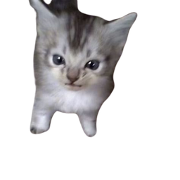 :oupigoupi: