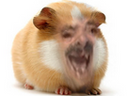 :Issamsteh: