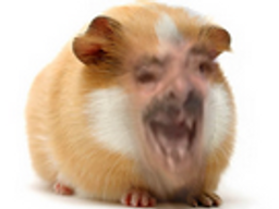 :Issamsteh: