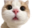 :chat_chokbar1: