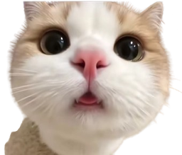 :chat_chokbar1: