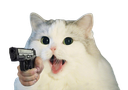 :Cattogun: