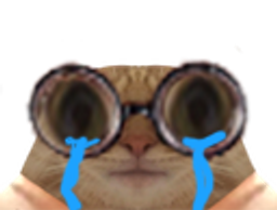 :Chat_lunettes_pleure: