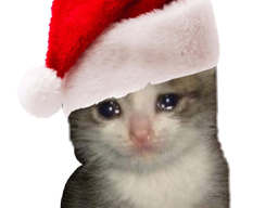 :chaton_noel_pleure: