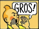 :Tintin_Gros: