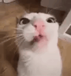 :Crunchy: