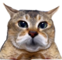 :chat_rougitGrognon: