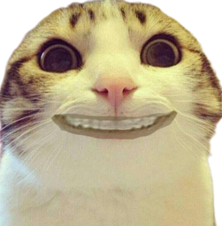 :CHAT_PEUR_2:
