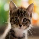 Minet2op