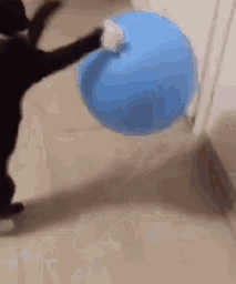 :chatBallon: