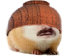 :Hamter_bolenbwa:
