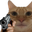 Photo de profil de Noname21